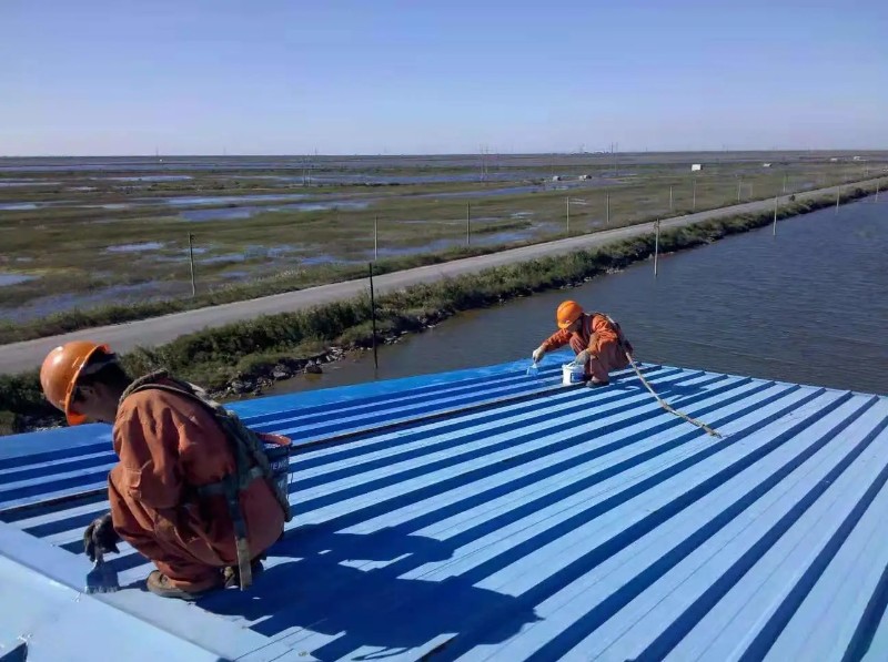 建邺彩钢瓦屋面防腐翻新